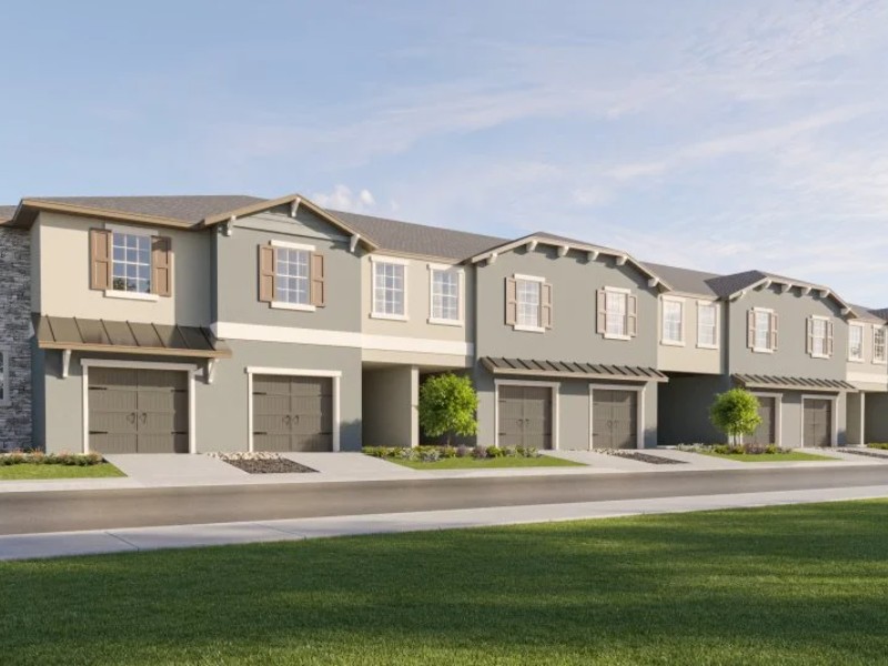 10065 Gentle Rain Dr  Land O Lakes - Florida - Tampa - 34638